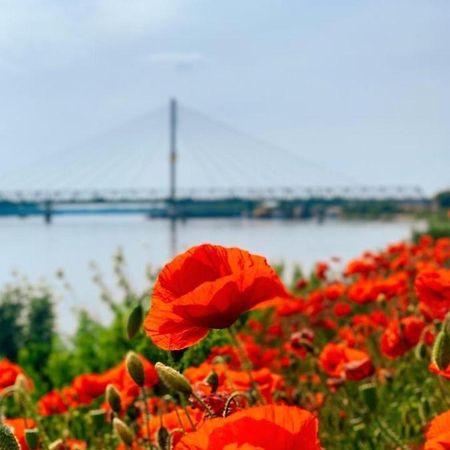 Amira Apartman Komárno エクステリア 写真