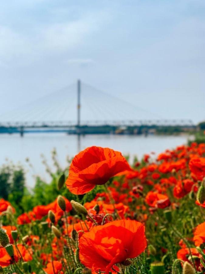 Amira Apartman Komárno エクステリア 写真